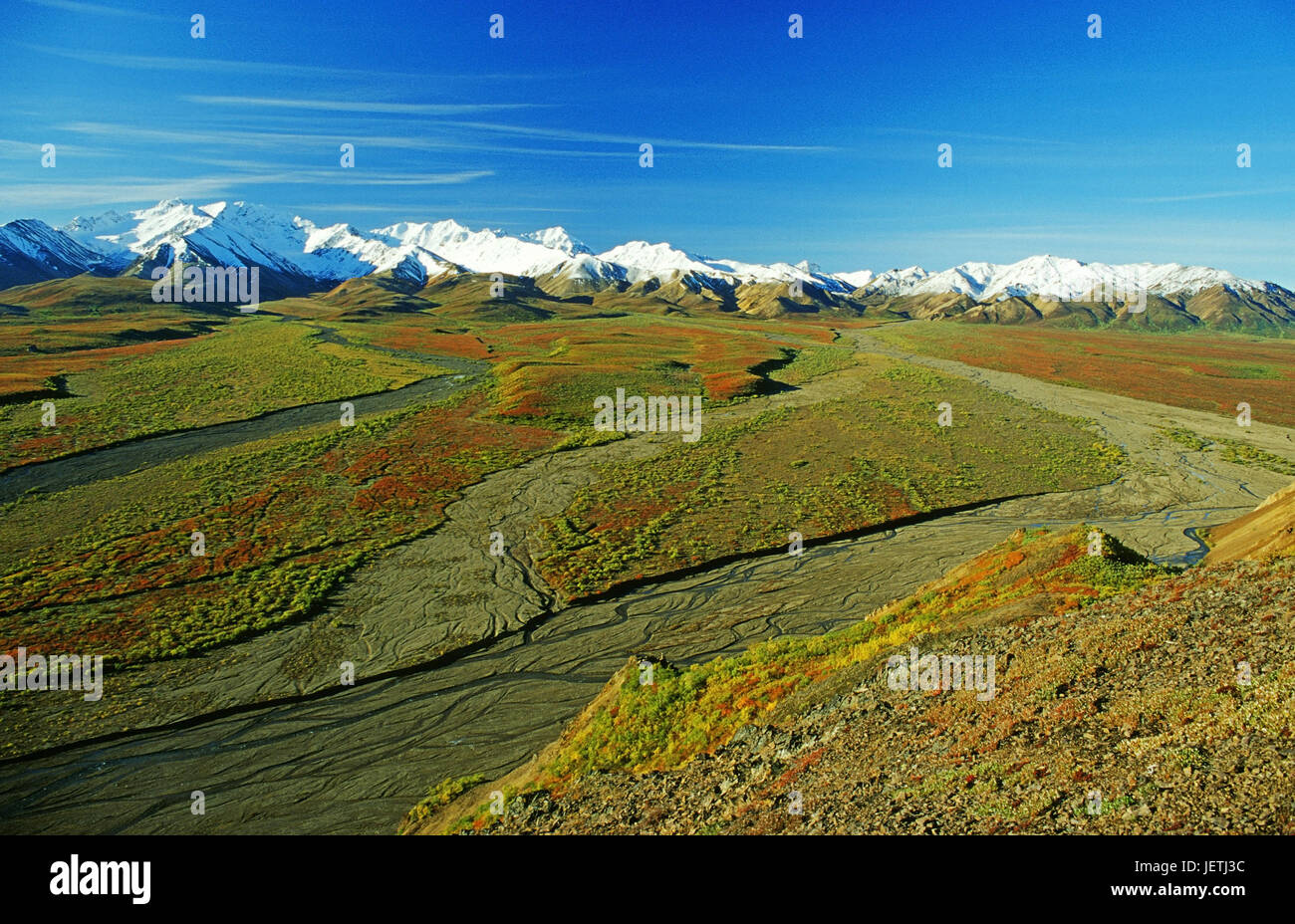The mountains Alaska to rank with the coloured autumn tundra in the foreground, Denali N.P., Alaska, Die Berge der Alaska Range mit der farbigen Herbs Stock Photo