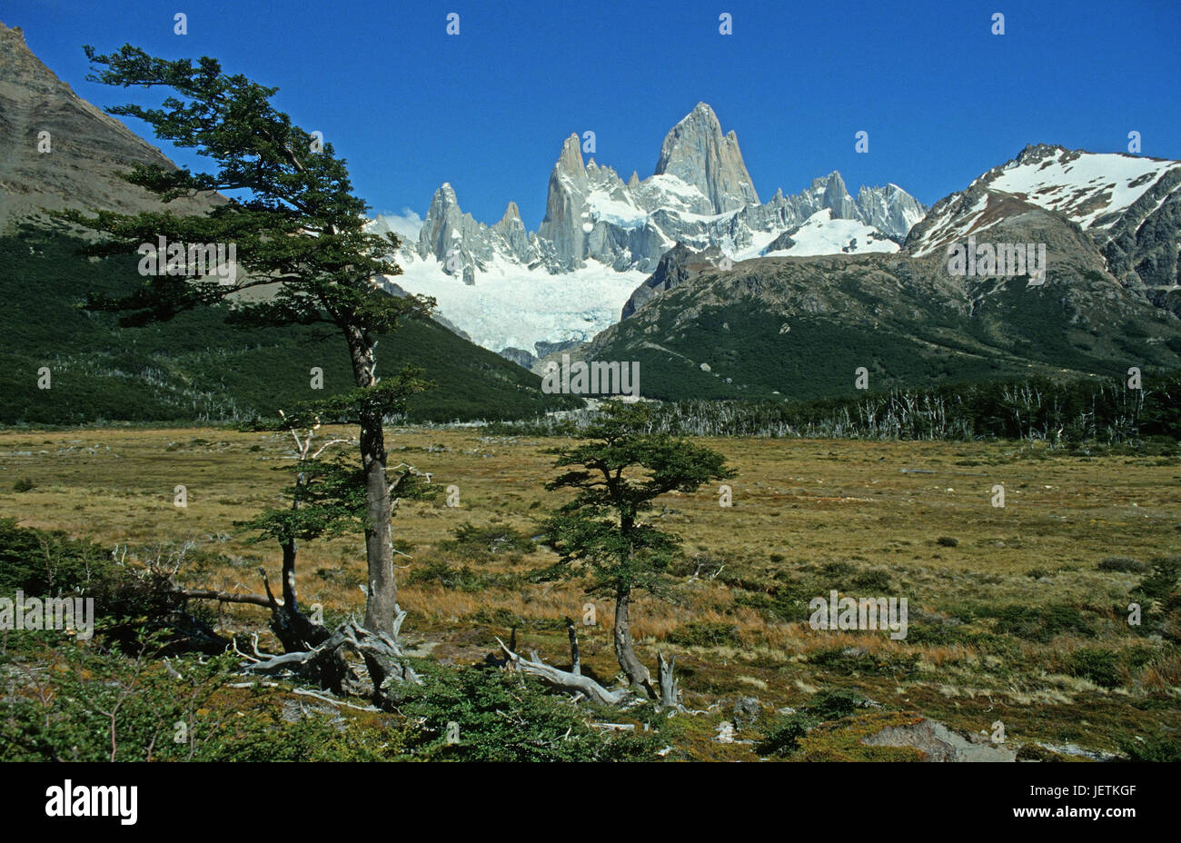 The summit of the Fitz Roy, Patagonia, Argentina, Der Gipfel des Fitz Roy - Patagonien, Argentinien Stock Photo