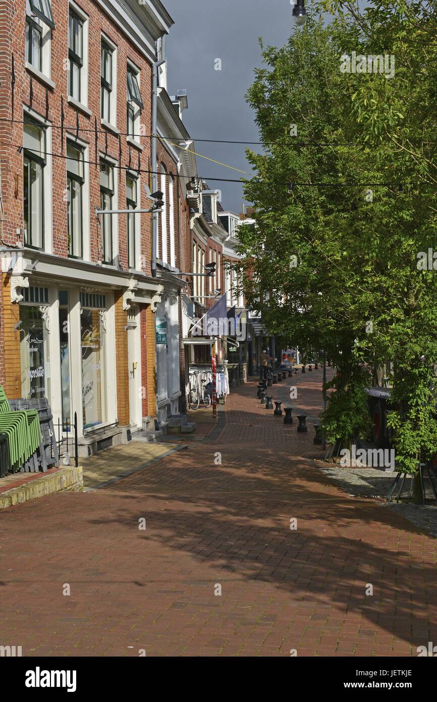 House front made of bricks and trees in the road Diepswal in Dokkum's historic district, 7 September 2017 | usage worldwide Stock Photo