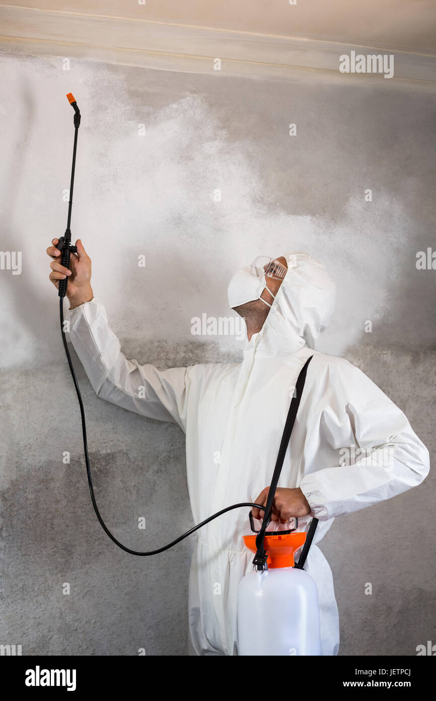 Manual worker using pest spray on wall Stock Photo