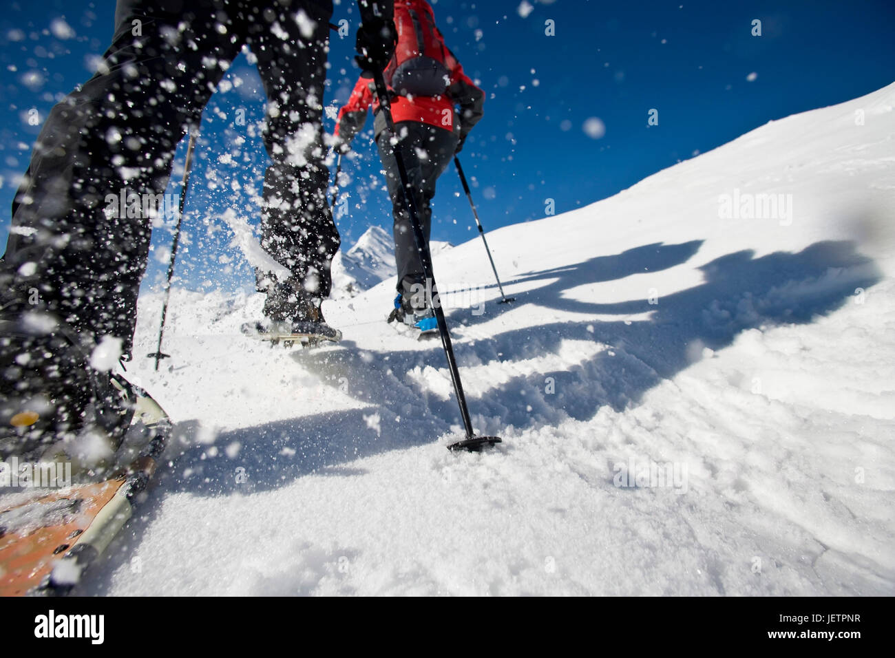 Snowy shoe walking, rise to the summit, Grossglockner, Austria, Schneeschuhwandern, Aufstieg zum Gipfel, Österreich Stock Photo