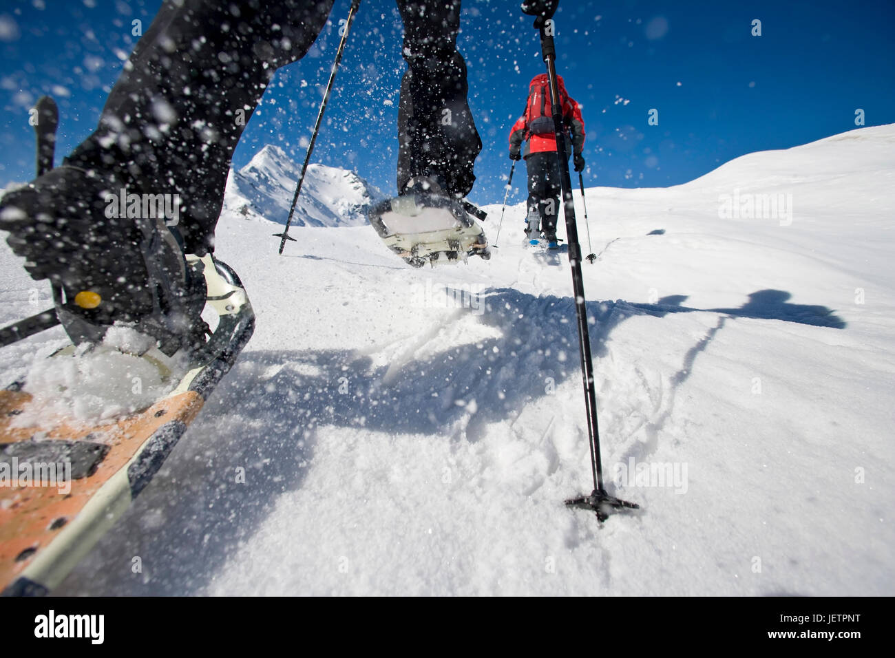 Snowy shoe walking, rise to the summit, Grossglockner, Austria, Schneeschuhwandern, Aufstieg zum Gipfel, Österreich Stock Photo