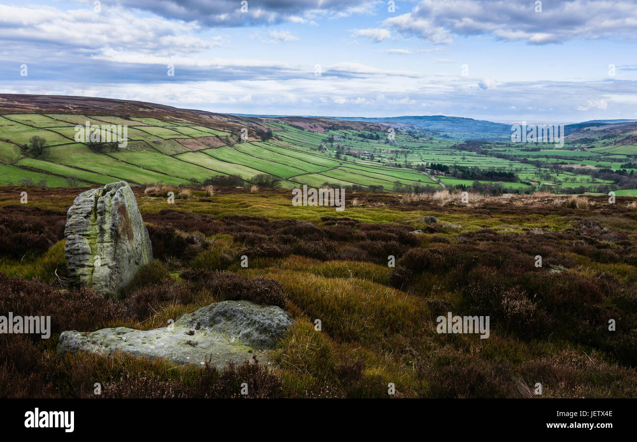 North York Moors National Park showing Glaisdale dale with fields, farmland, trees, and heather  under a bright cloudy sky at Glaisdale, UK. Stock Photo