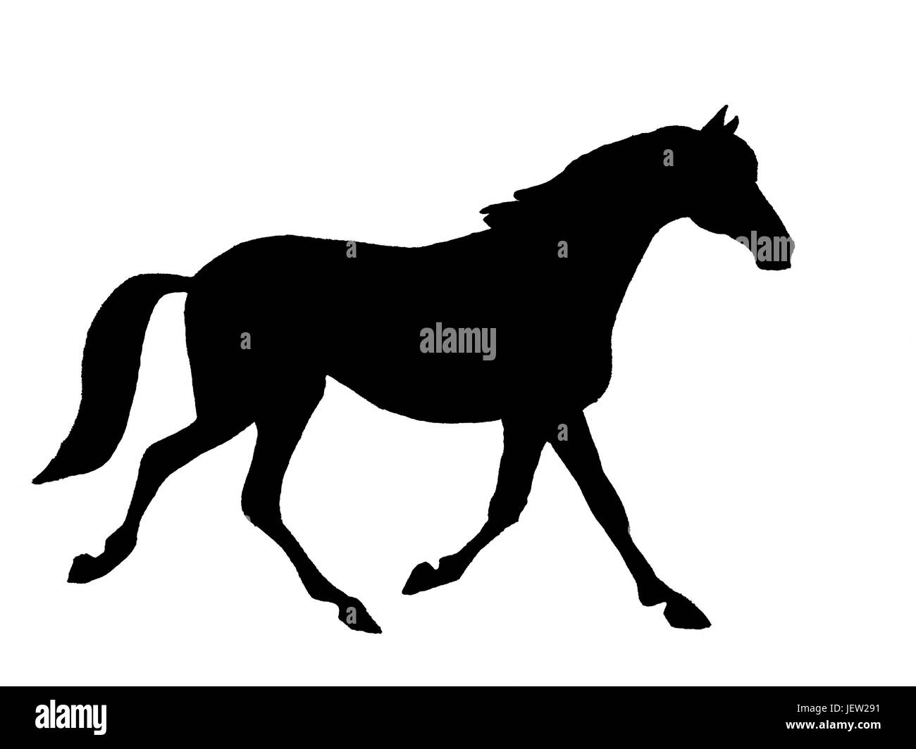 Horse passport hi-res stock photography and images - Alamy