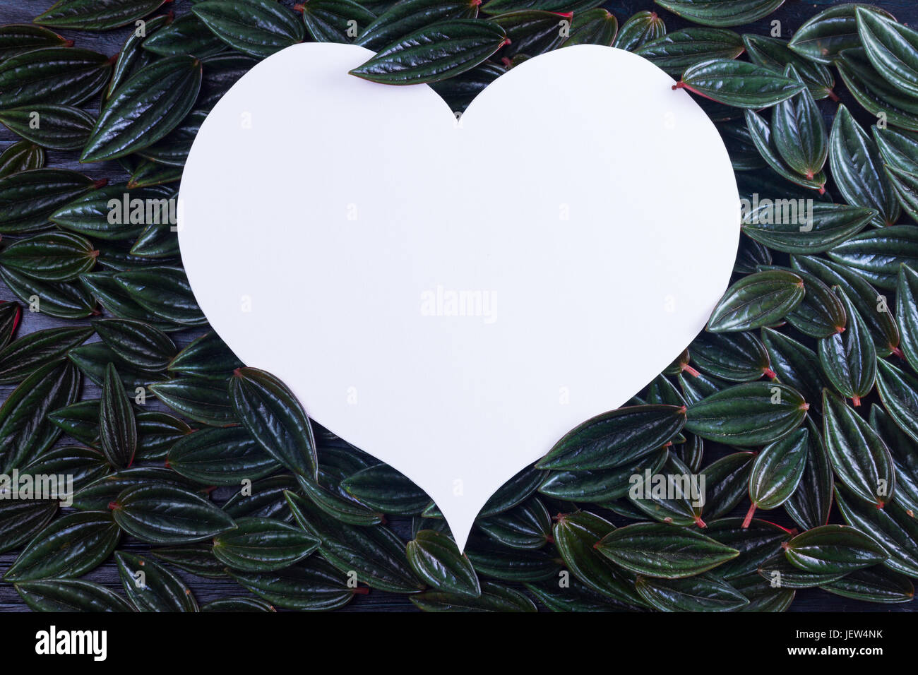 fresh green exotic leaves frame with copy space on empty paper note in shape of heart Stock Photo