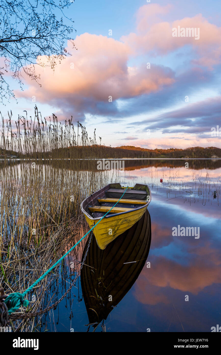 Rowing boat moored on lake Stock Photo - Alamy