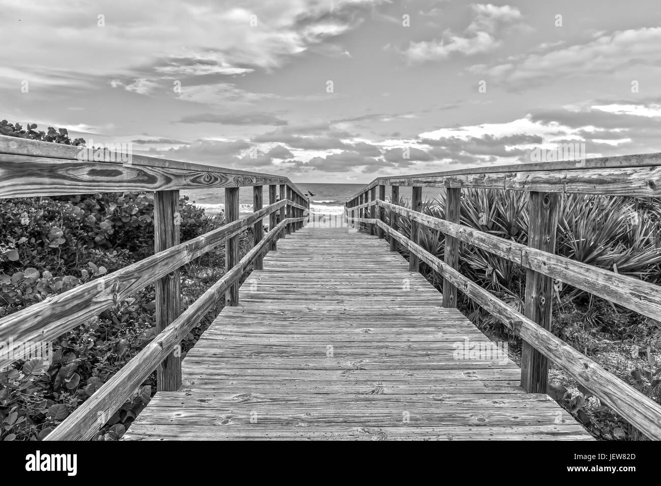 Boardwalk to the Beach of Canaveral National Seashore at Cape Canaveral Florida in Black and White Stock Photo