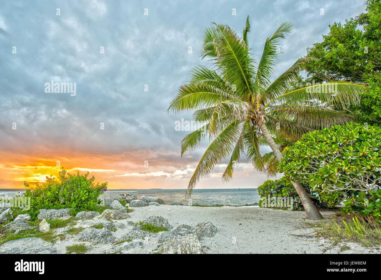 Sunset under Palms at Fort Zachary Taylor Historic State Park in Florida Stock Photo