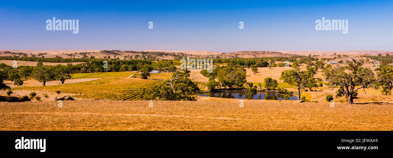 View from Eden Valley lookout in South Australia Stock Photo