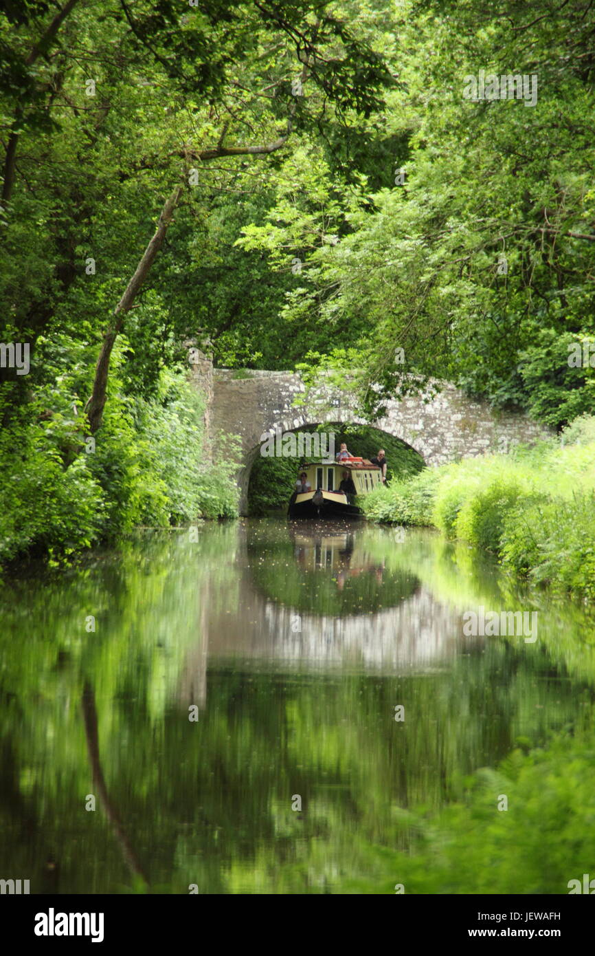 Narrowboat on the Monmouthshire and Brecon canal near Llangynidr, Brecon Beacons, Powys, Wales -  June Stock Photo
