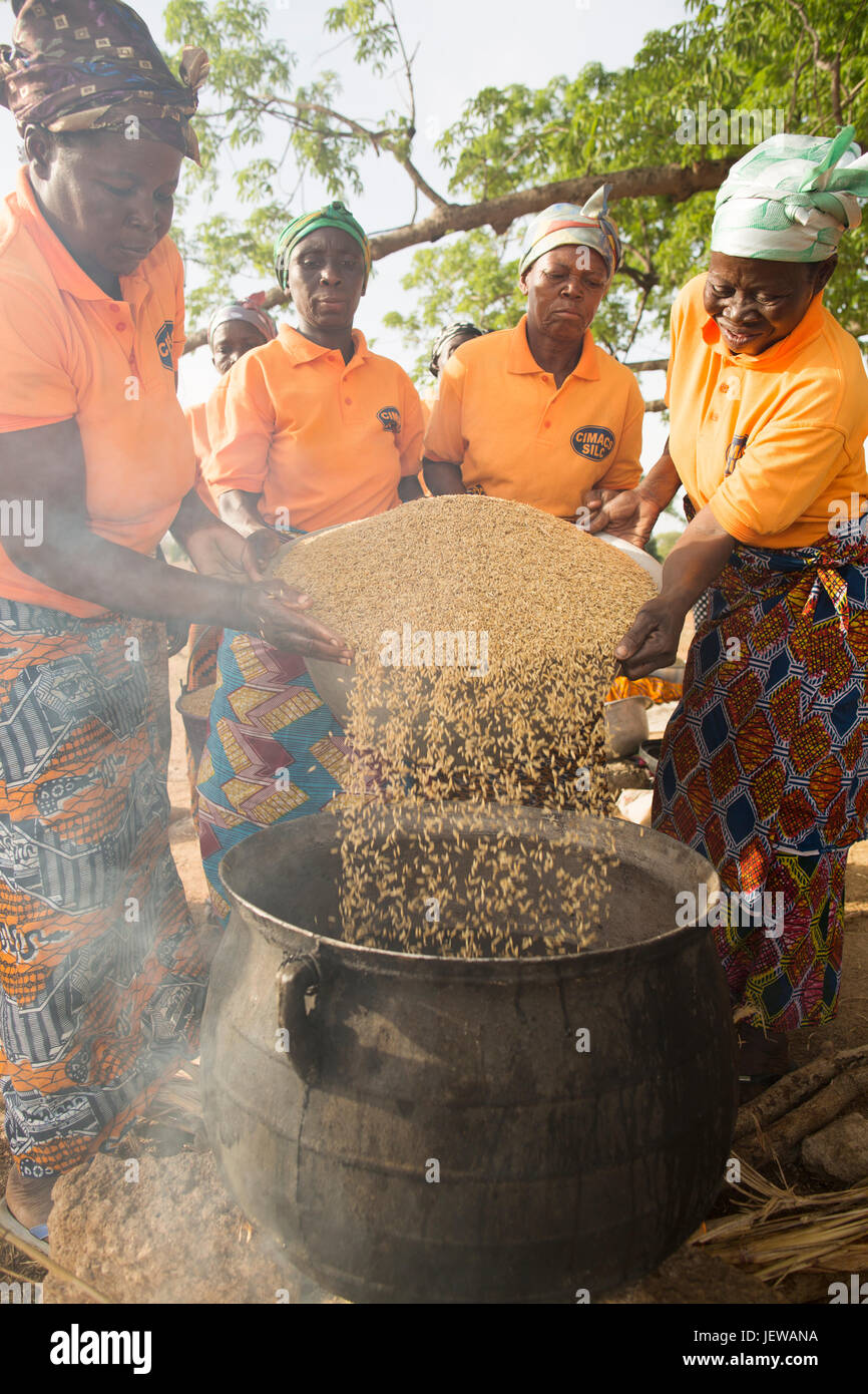 A women’s cooperative processes and parboils rice as an activity in UpperEast