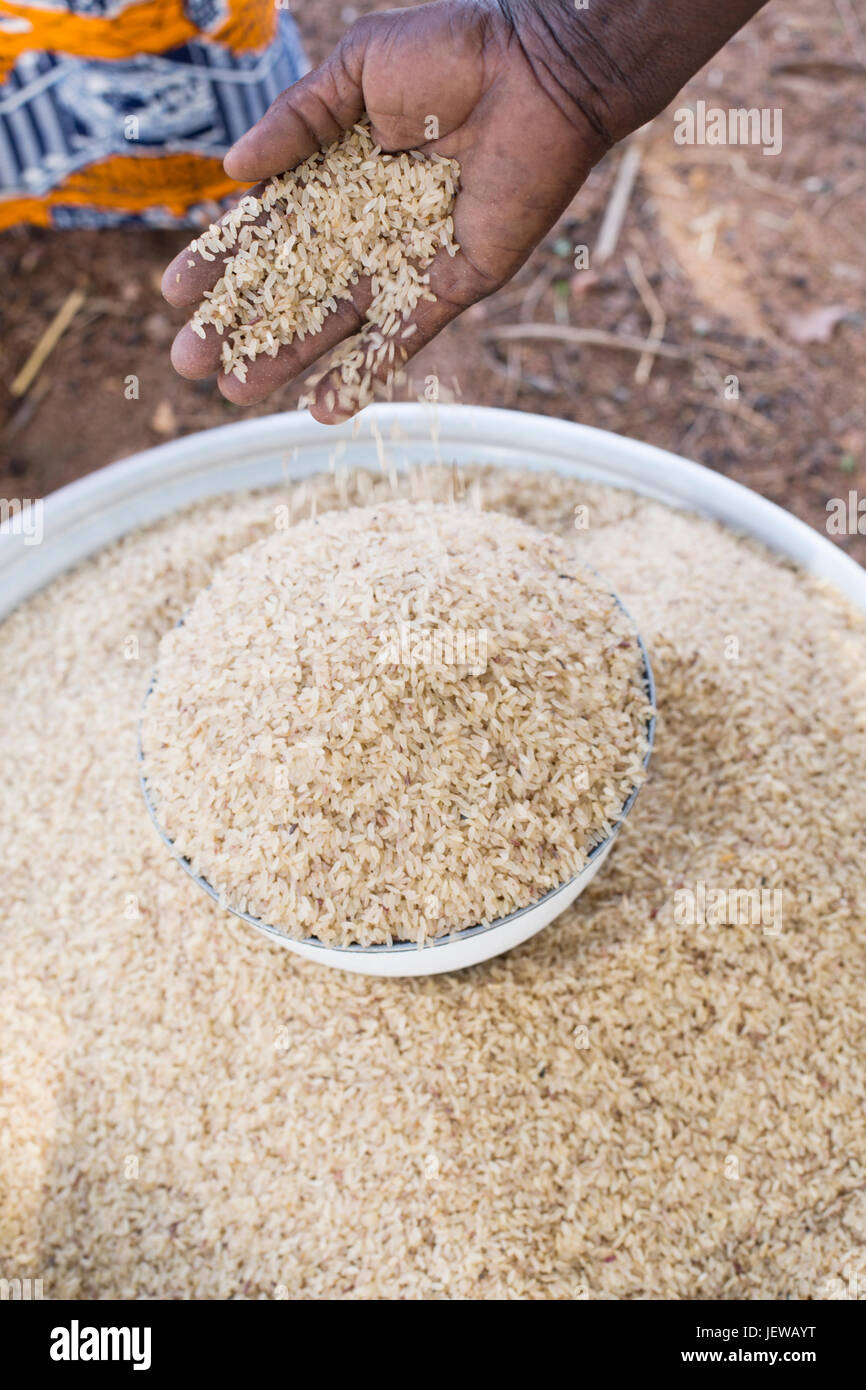 Ghana rice hi-res stock photography and images - Alamy