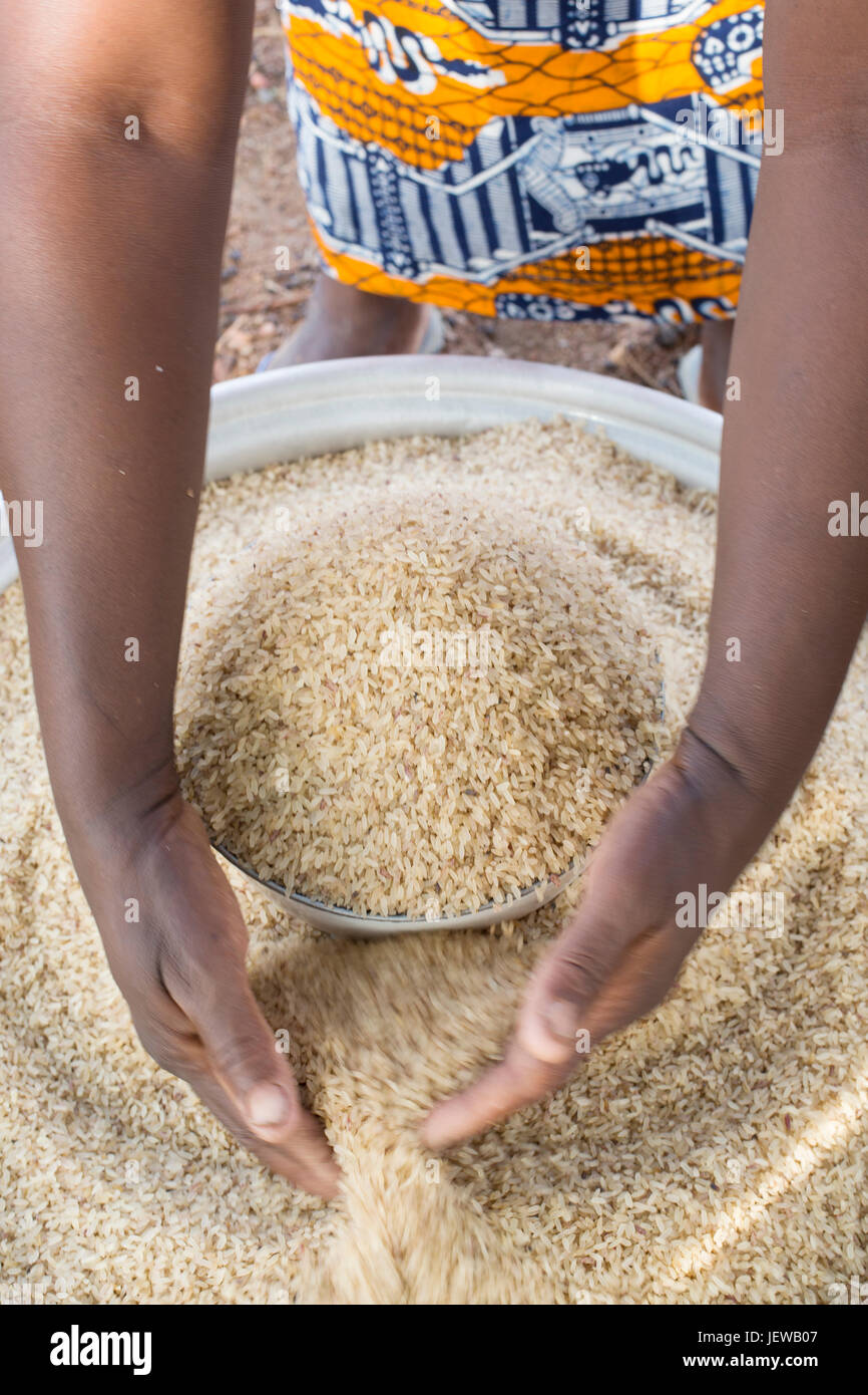 A women’s cooperative processes and parboils rice as an activity in UpperEast