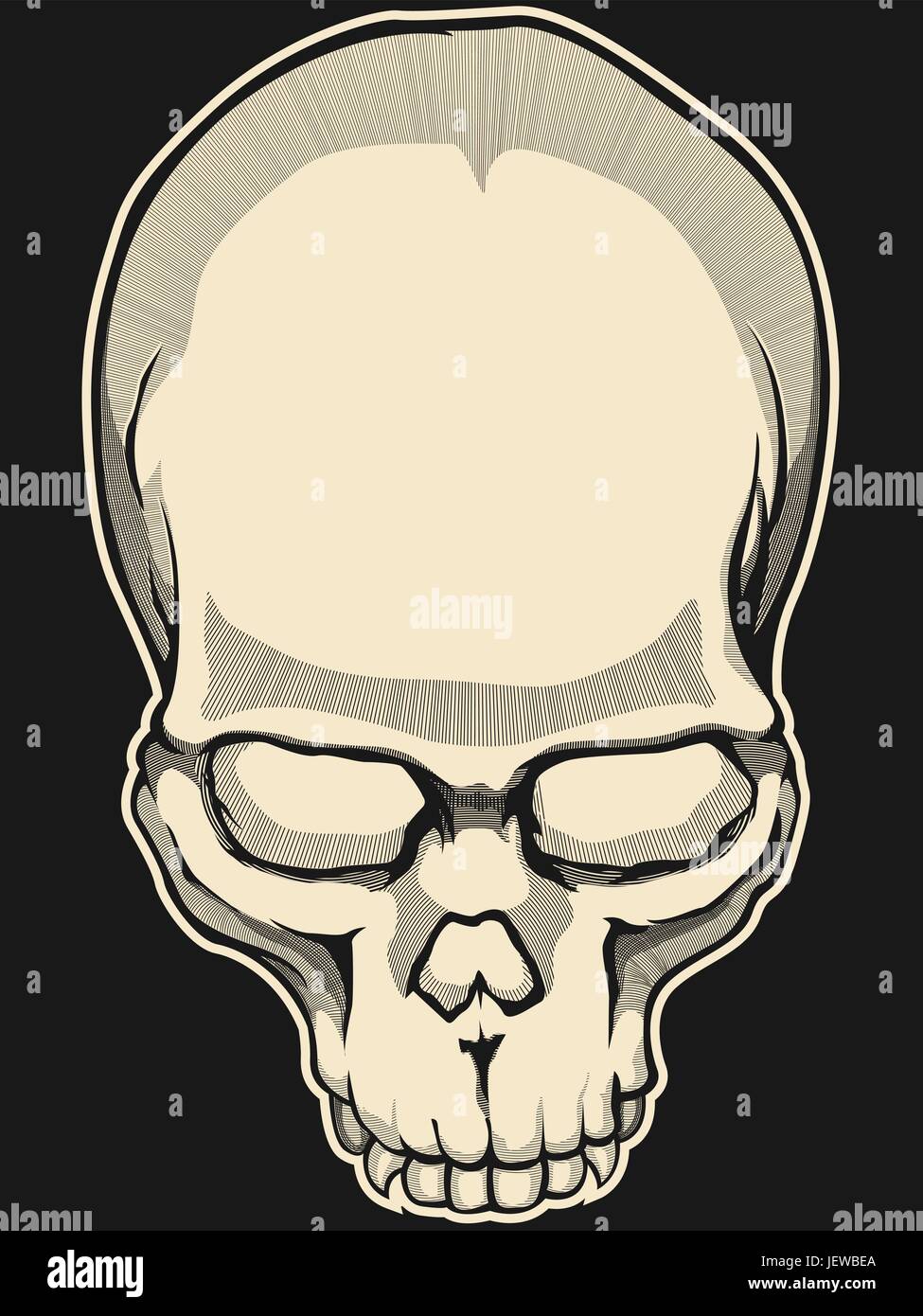 vintage, illustration, skull, bone, skeleton, retro, vector, death, antique, Stock Vector