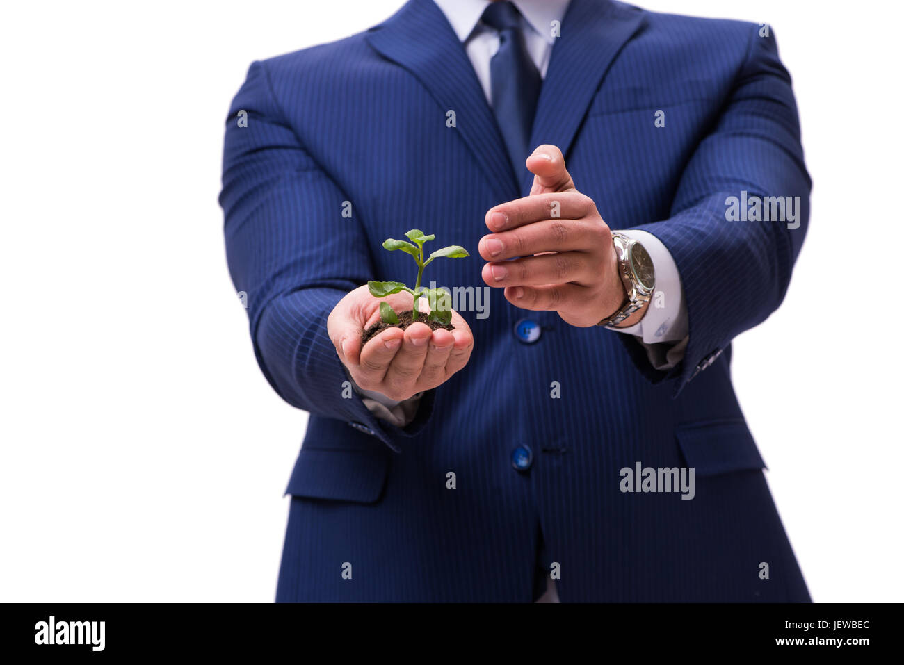 Businessman holding green sprouts isolated on white Stock Photo - Alamy