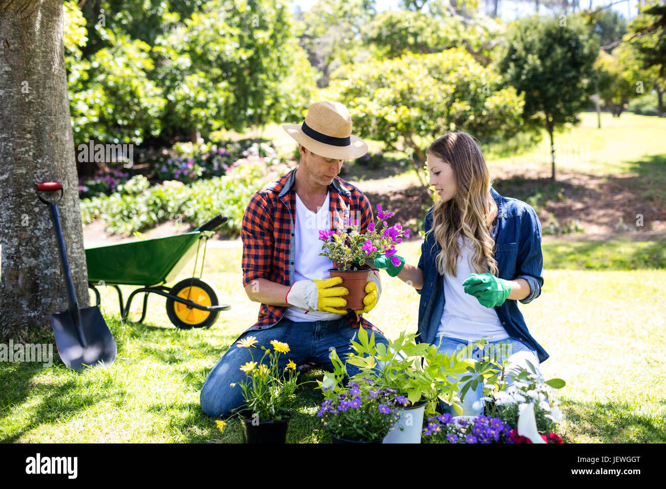 Couple gardening in the park Stock Photo - Alamy