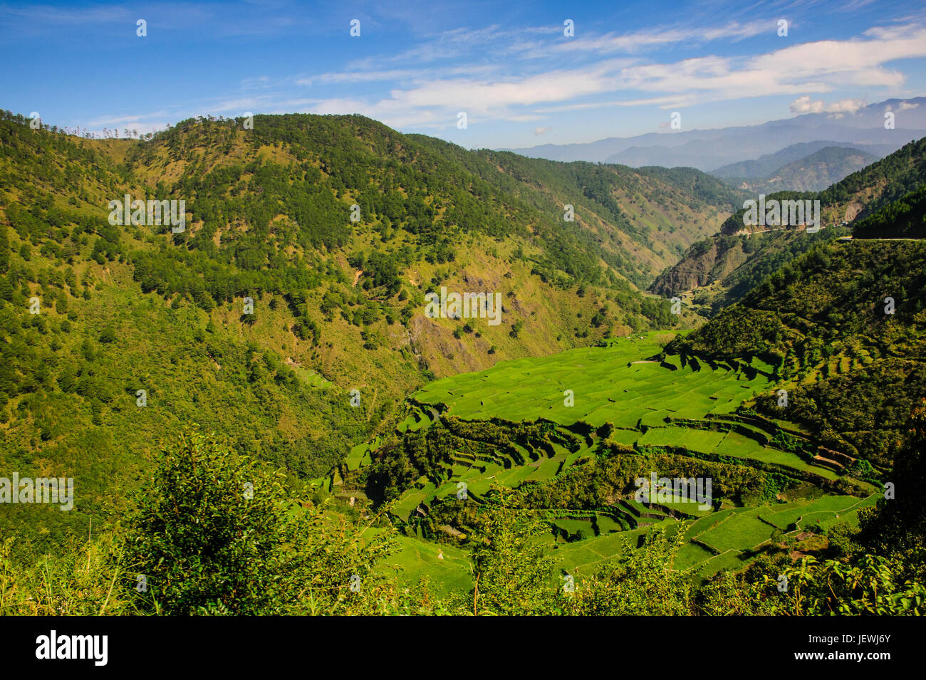 Along the rice terraces from Bontoc to Banaue, Luzon, Philippines Stock Photo