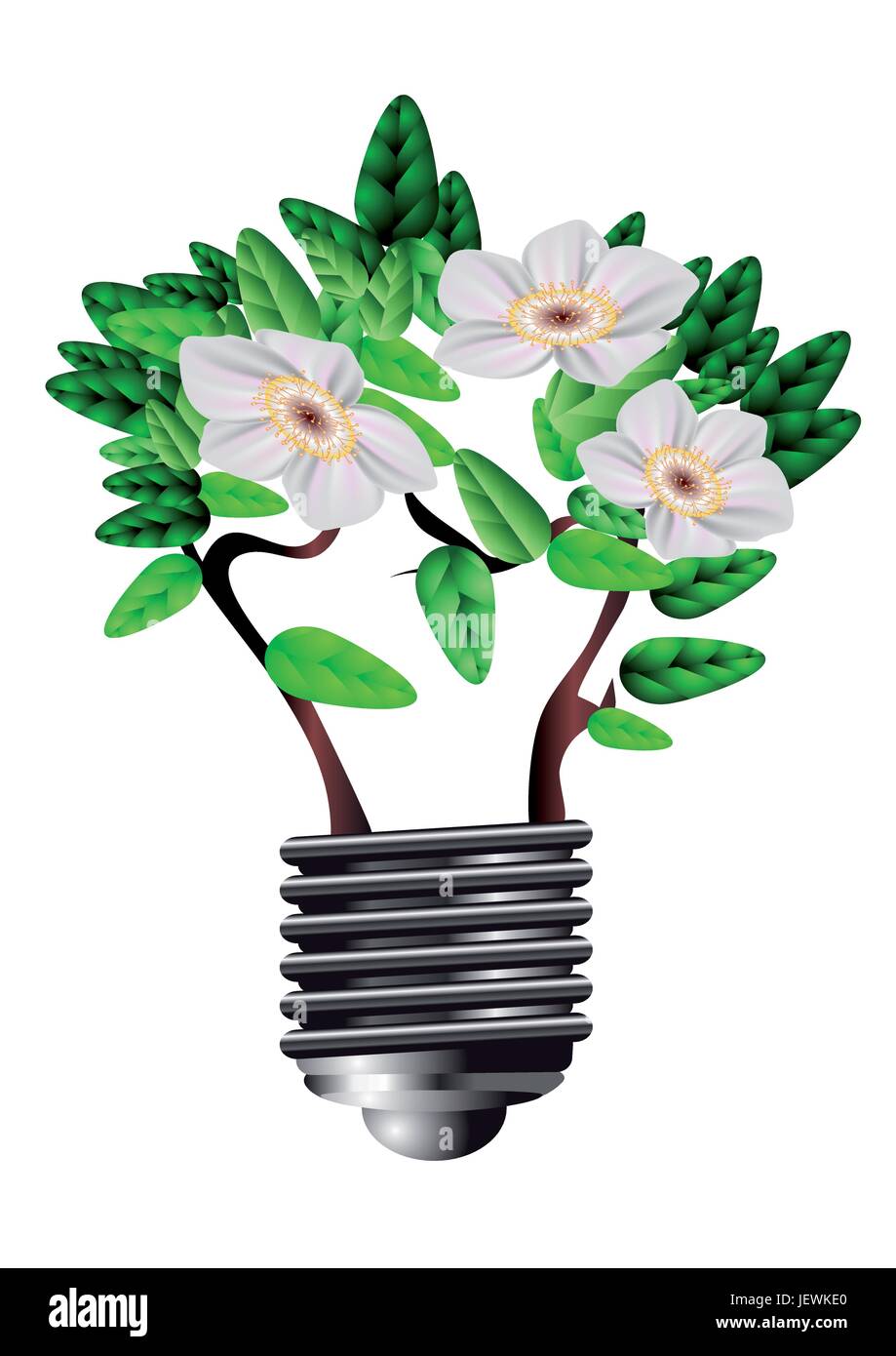 environment, enviroment, isolated, tree, flower, plant, flowers, energy