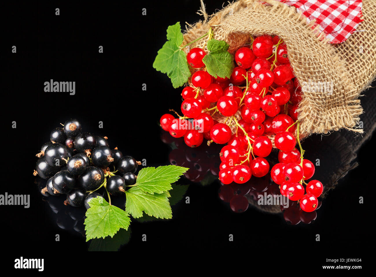 Black and red currants on a dark background, close-up Stock Photo