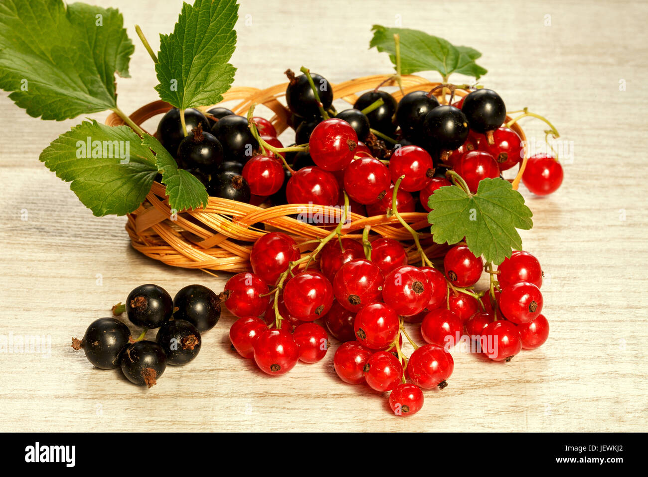 Black and red currant on a light background, close-up Stock Photo