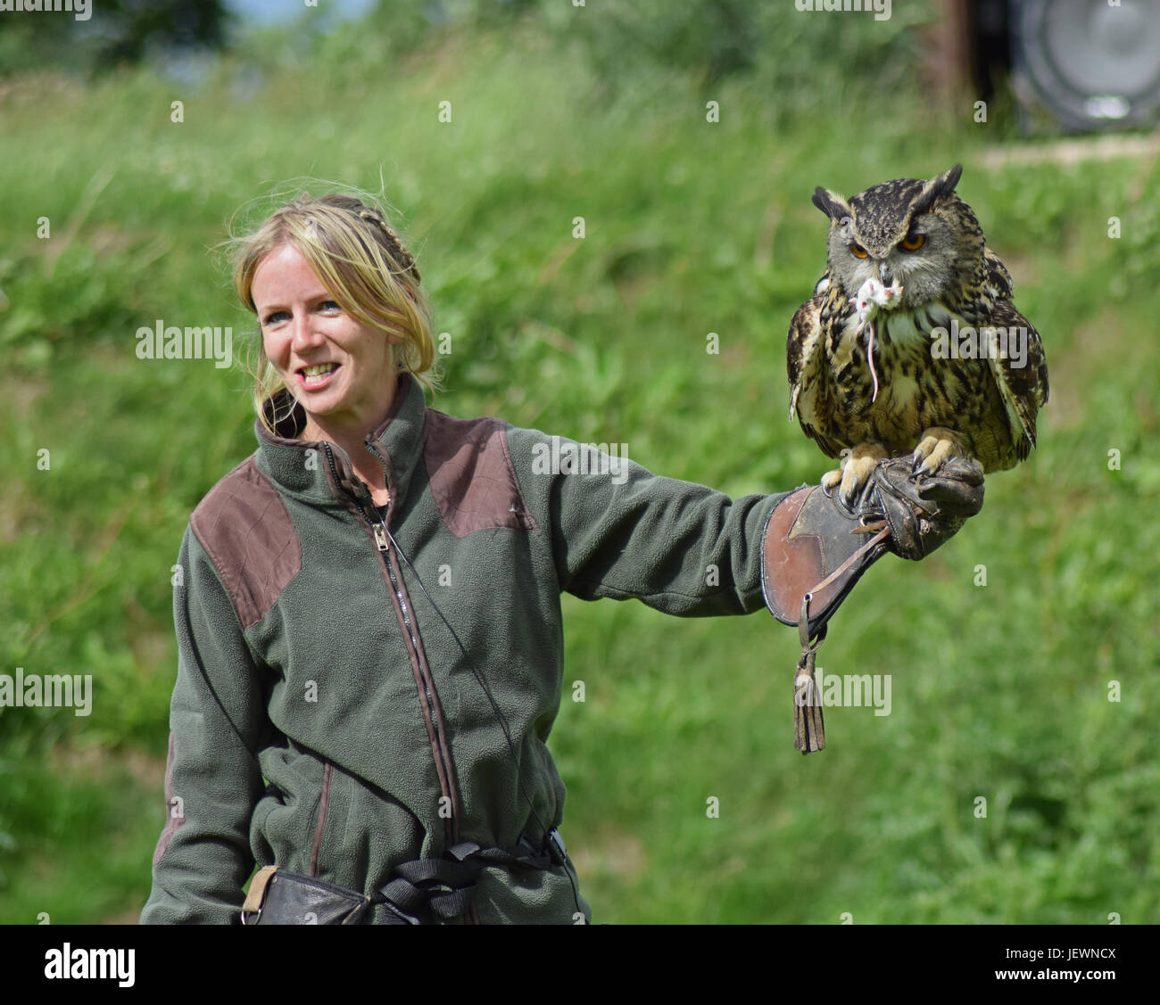 Owl Falconry High Resolution Stock Photography and Images Alamy