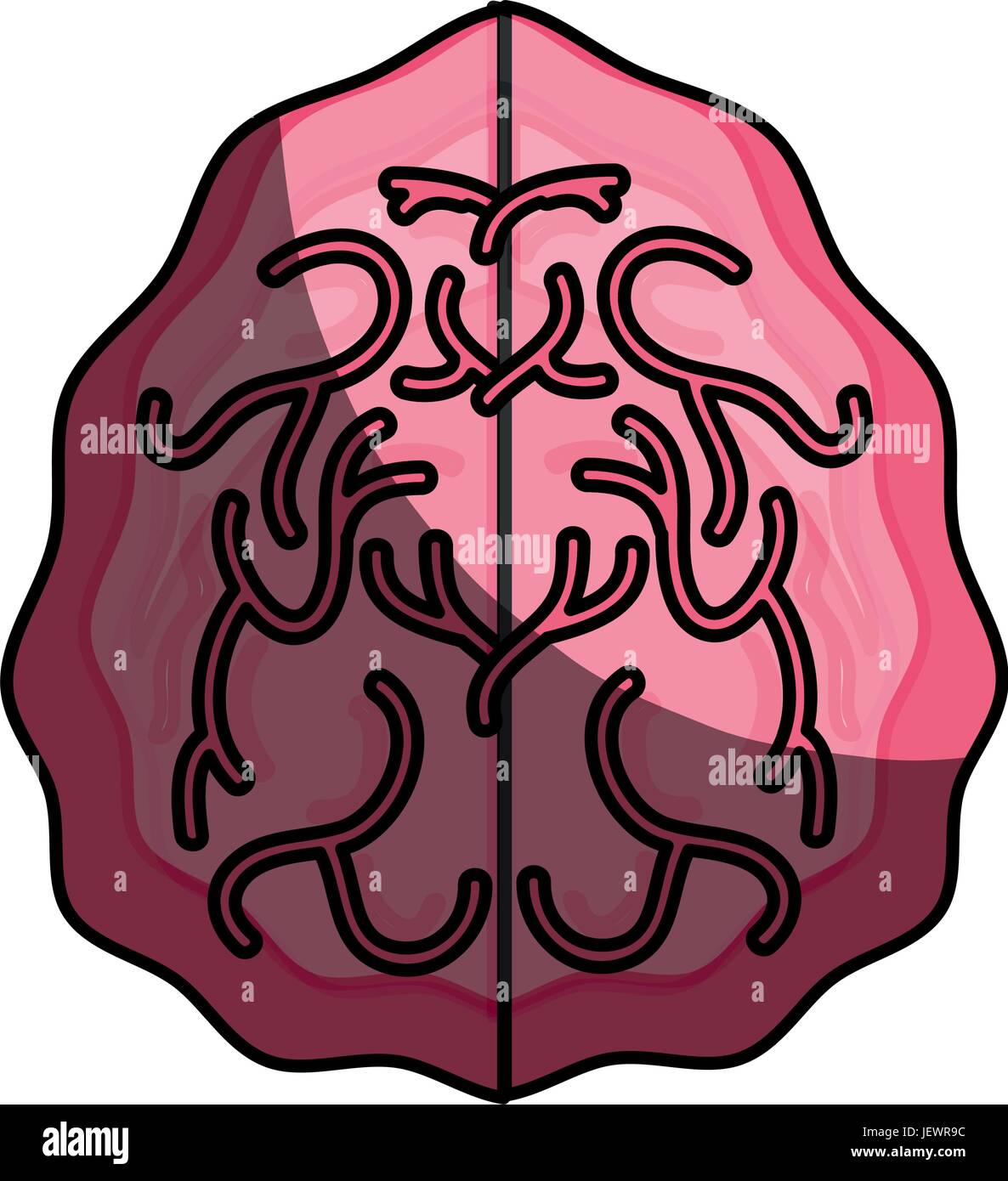 Human brain isolated Stock Vector Image & Art - Alamy