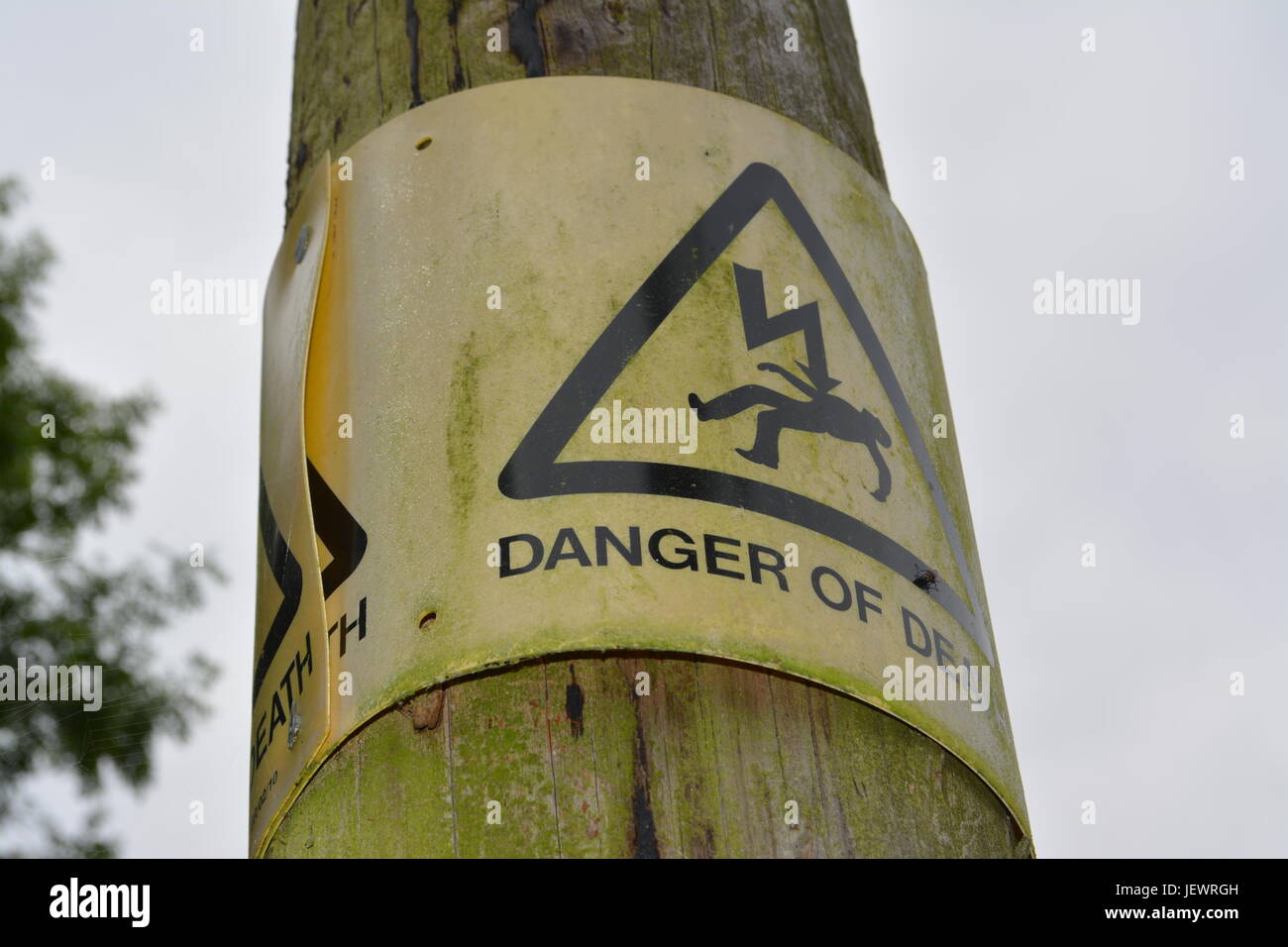 weathered yellow and black plastic danger of death sign tacked nailed onto wooden timber electricity pole pylon England UK Stock Photo