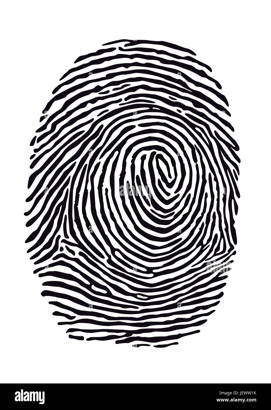 fingerprint Stock Vector