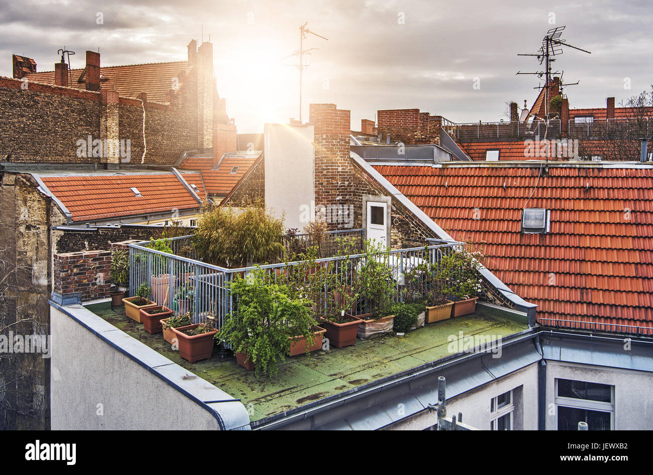 Small rooftop garden Stock Photo