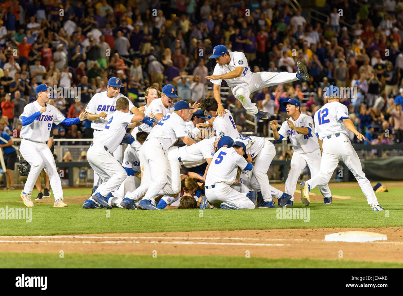 Dogpile hires stock photography and images Alamy