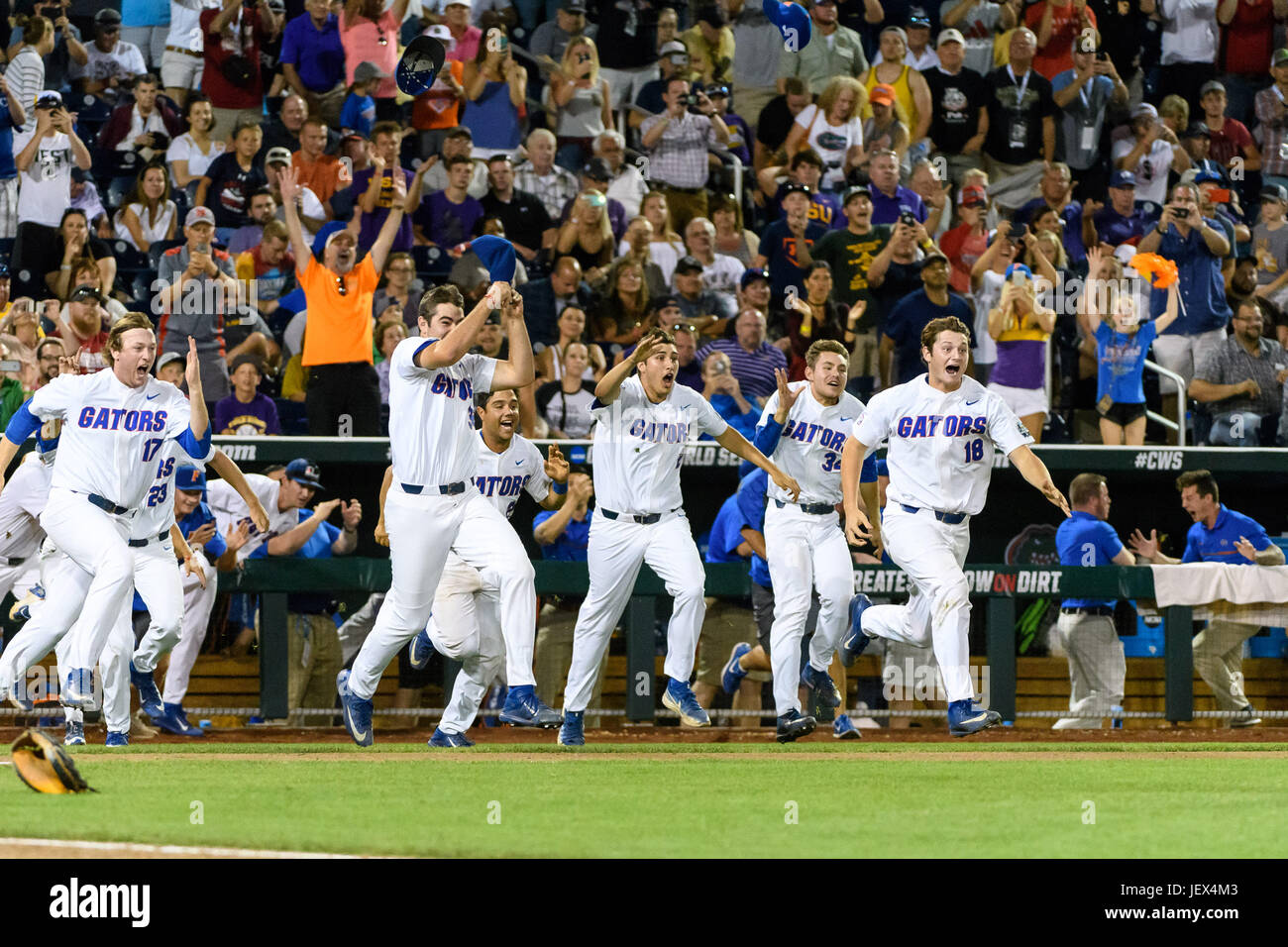 Florida lsu baseball final hires stock photography and images Alamy