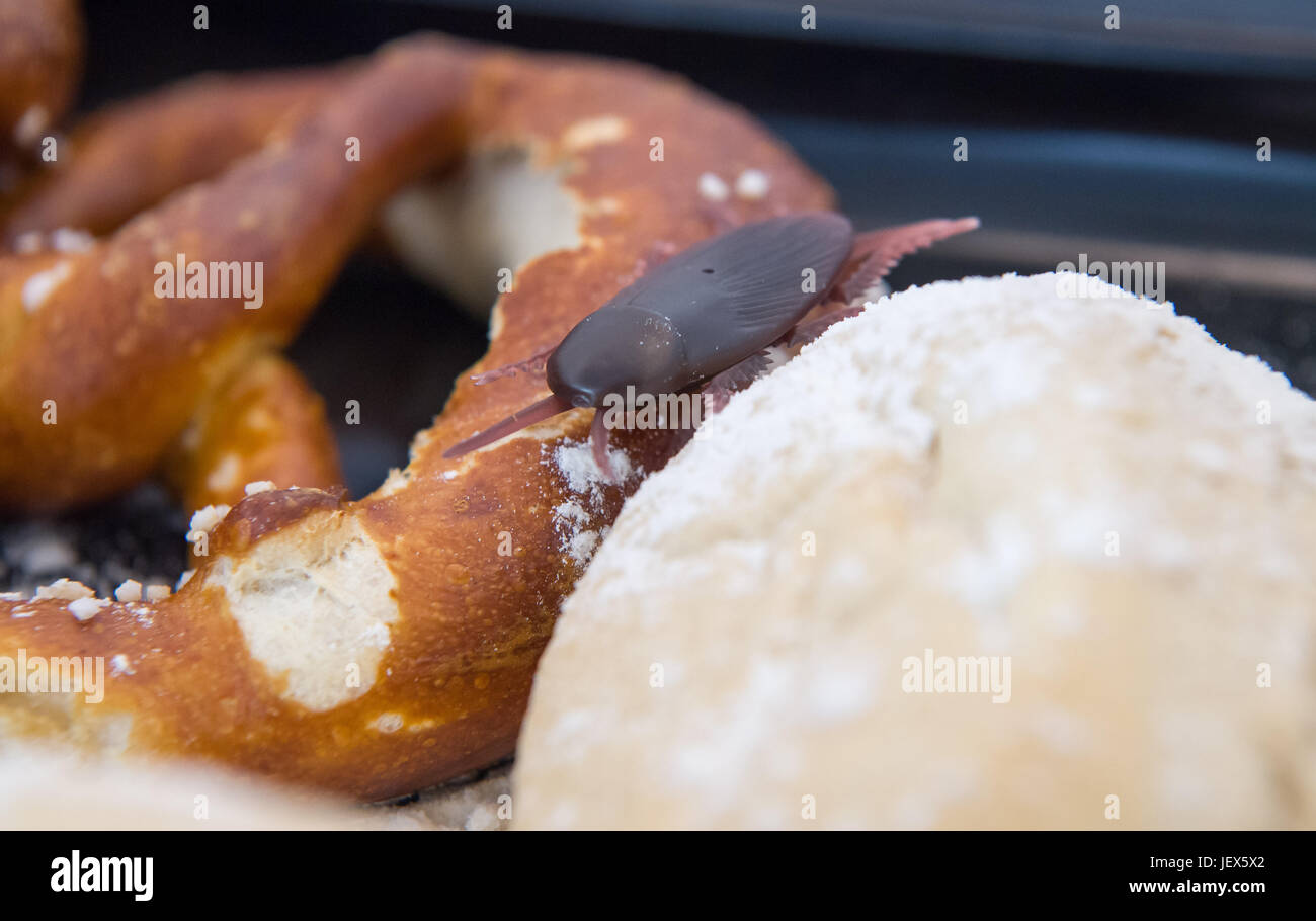 A plastic cockroach lies in between of two pastries during a press ...