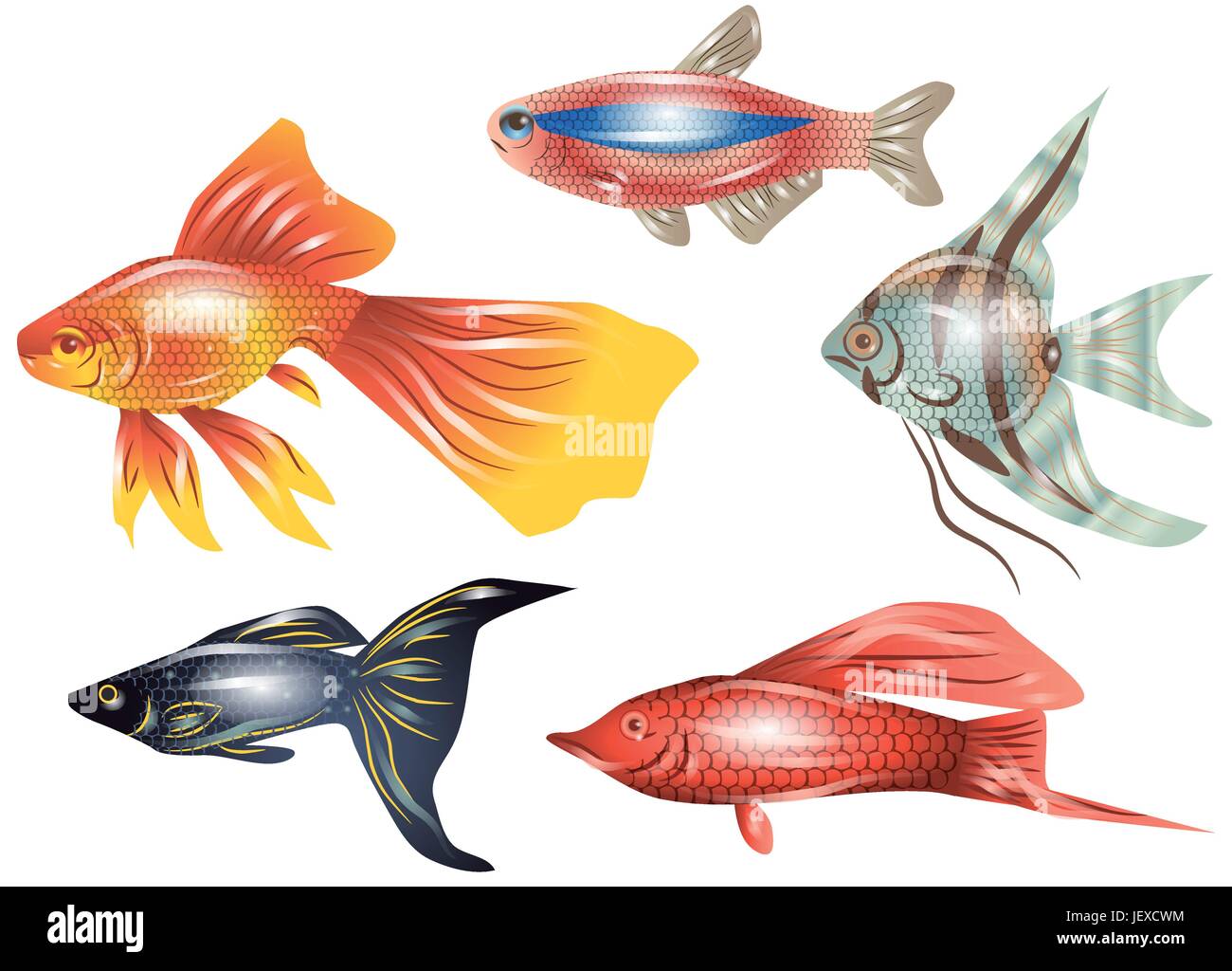Fish in a group Stock Vector Images - Alamy
