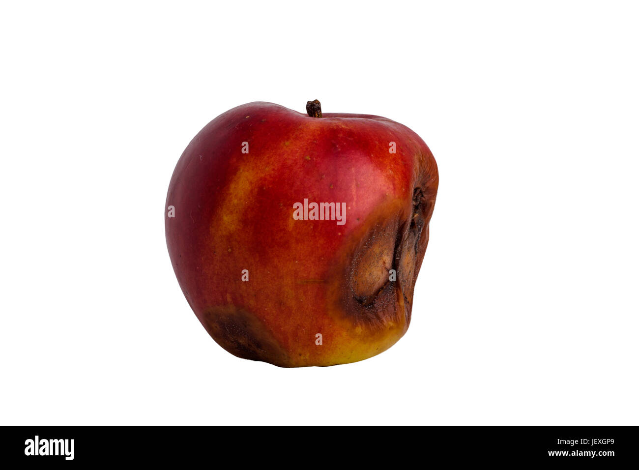 Red rotten apple on white background Stock Photo Alamy