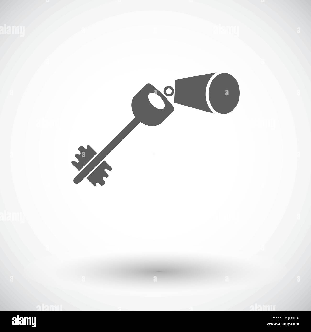 Key. Single flat icon on white background. Vector illustration Stock ...