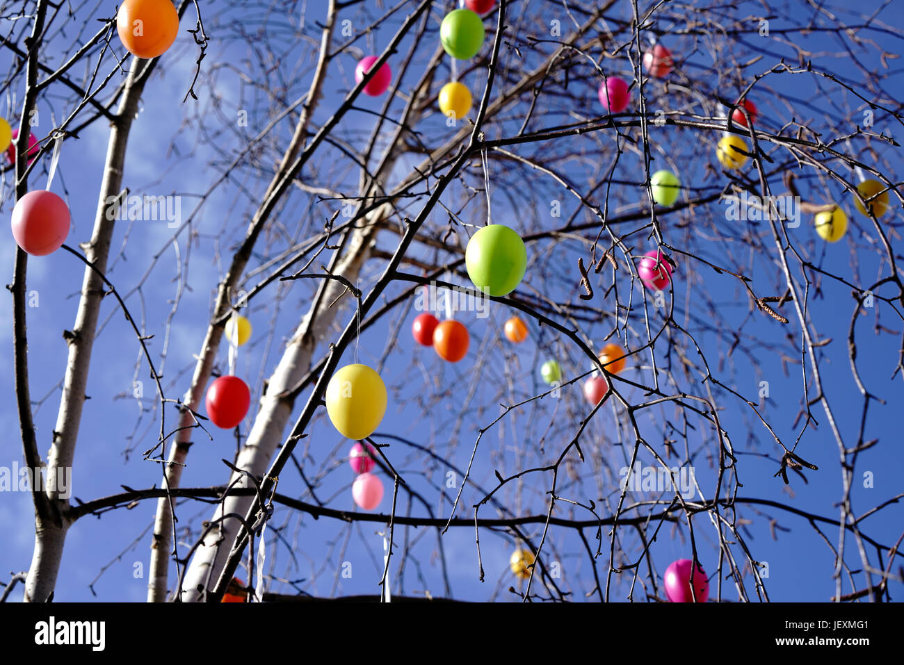 Easter eggs as decoration on a tree Stock Photo