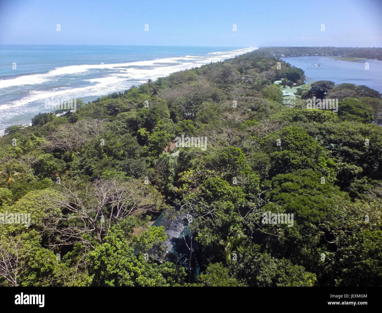 Tropical rainforest meets the Caribbean Sea in Humedal Caribe Noreste
