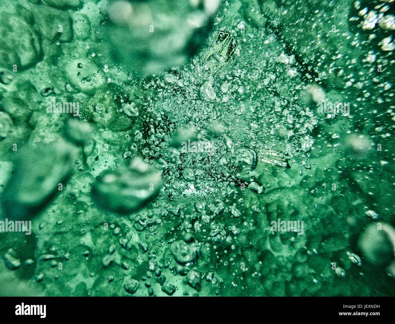 Air bubbles in the Sea of Cortez. Stock Photo