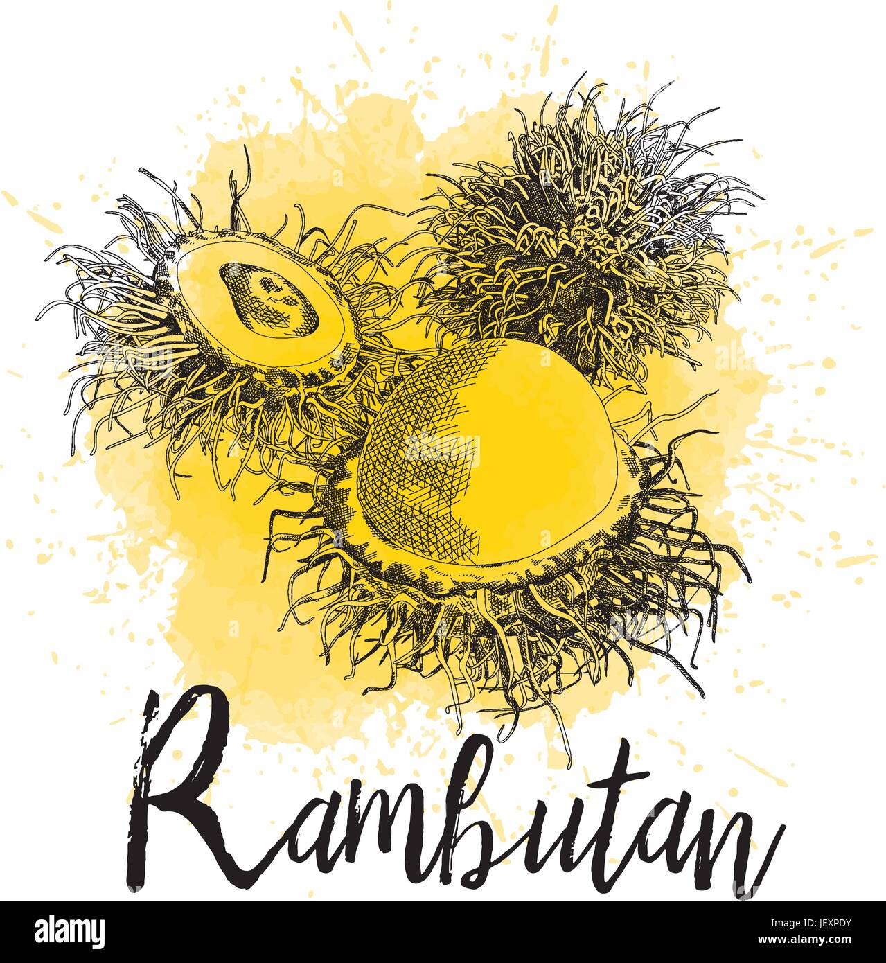 Vector illustration of rambutan in hand-drawn graphics. The fruit is depicted on a yellow watercolor background. Juice Packaging Design Stock Vector