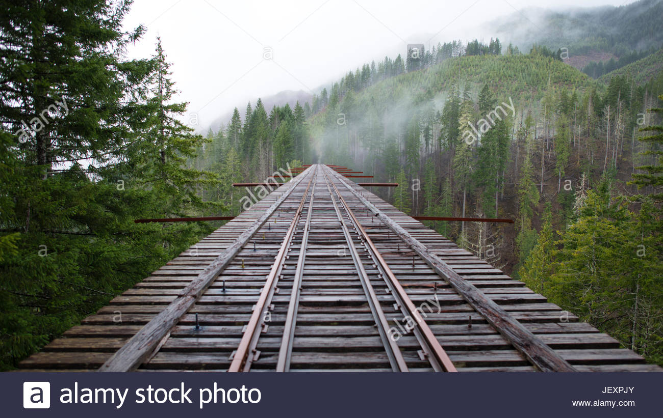 wooden train track bridge