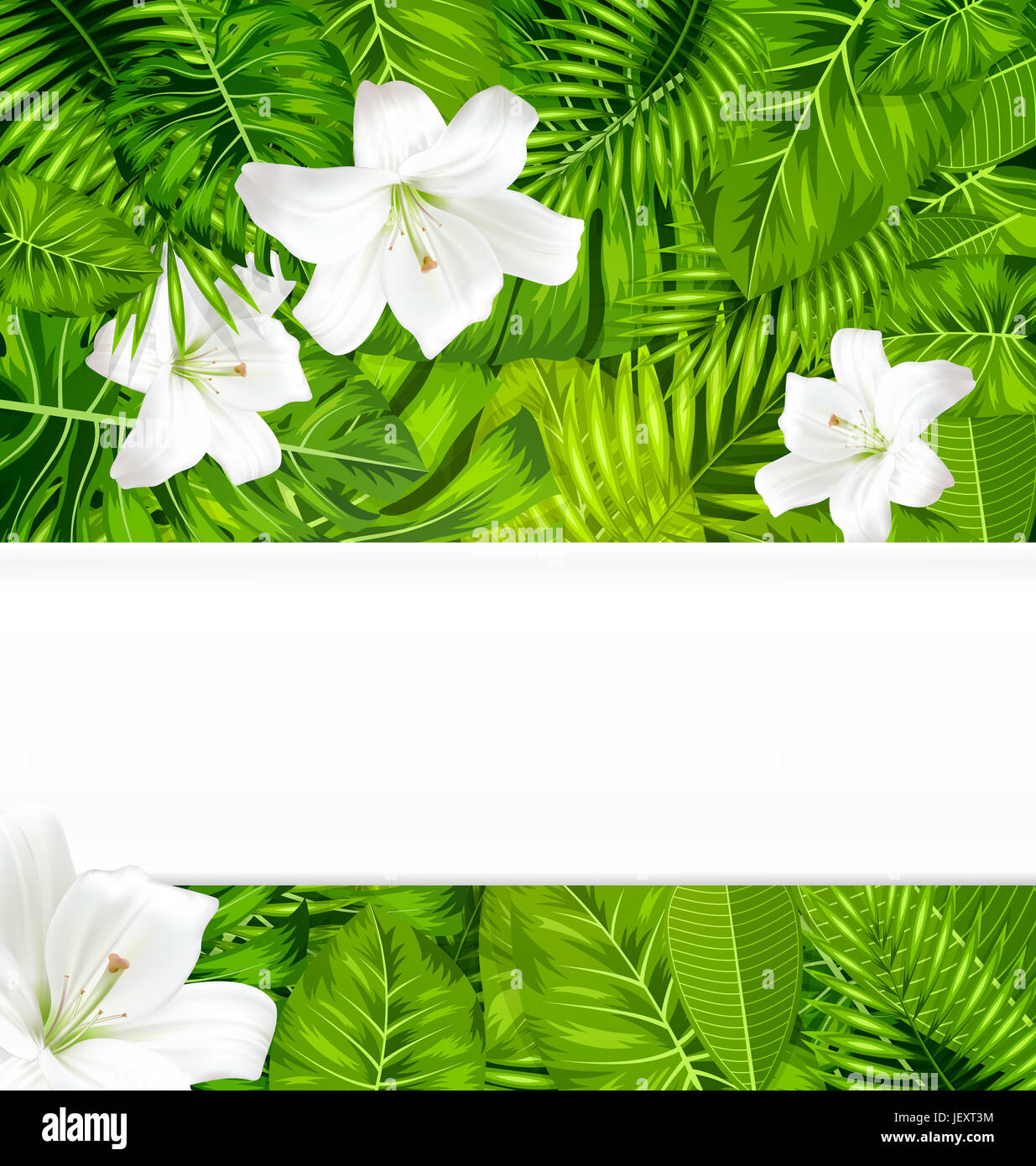 Frame border background branch with tropical leaves and white flowers ...