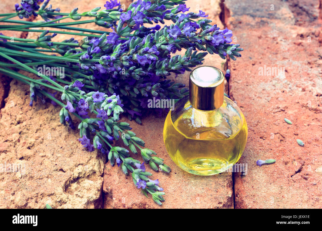 Essential lavender oil with fresh flowers on bricks background .Vintage look Stock Photo