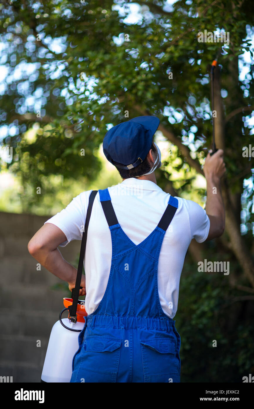Rear view of manual worker spraying on tree Stock Photo