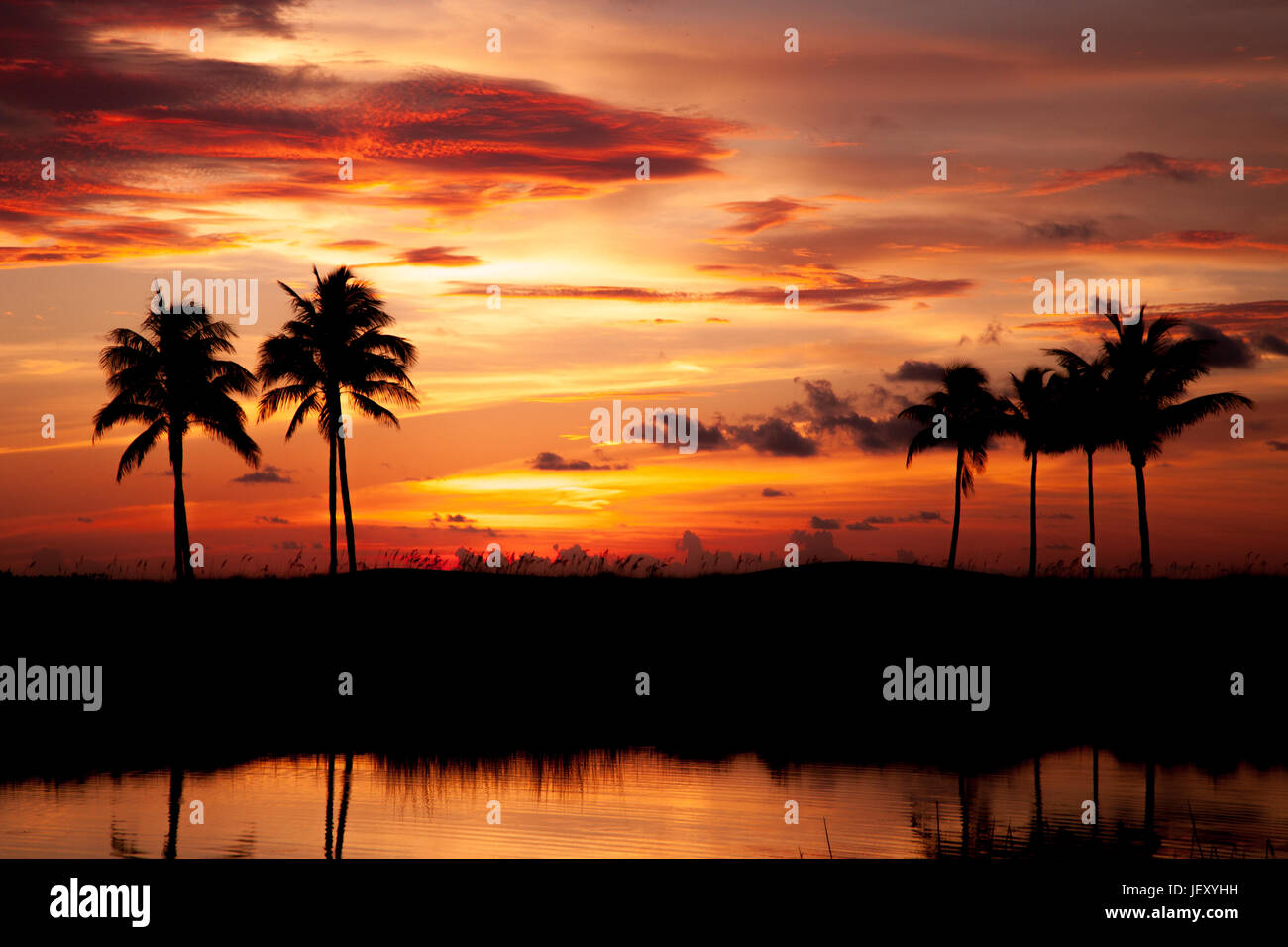 Tropical sunset beach palm hi-res stock photography and images - Alamy