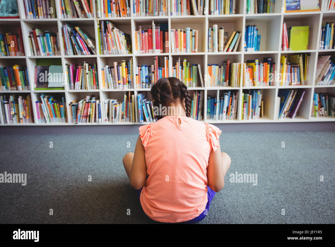 Rear view of girl reading a book Stock Photo