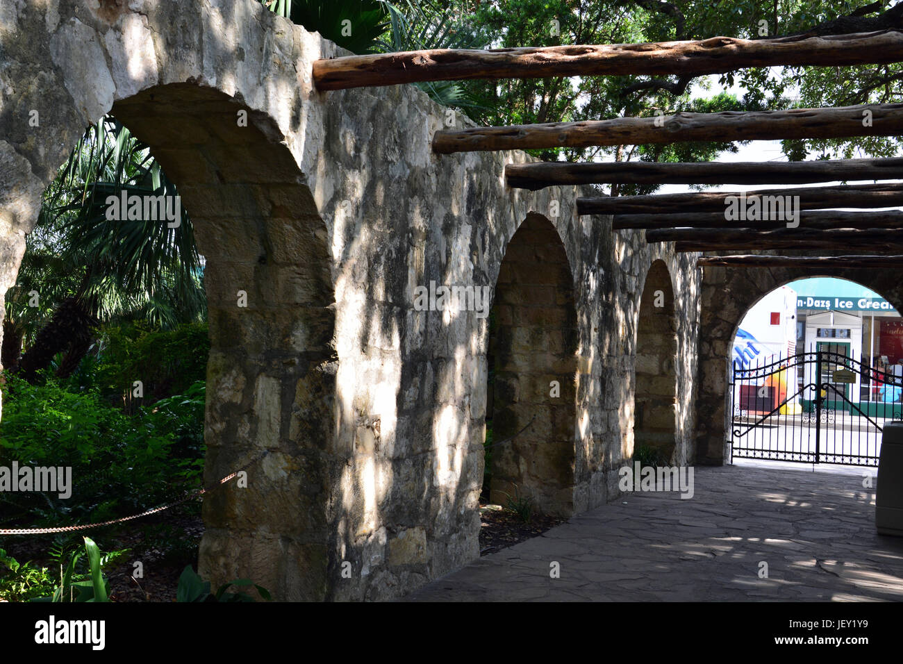 Live Oak trees shade the entry courtyard to the Alamo in San Antonio