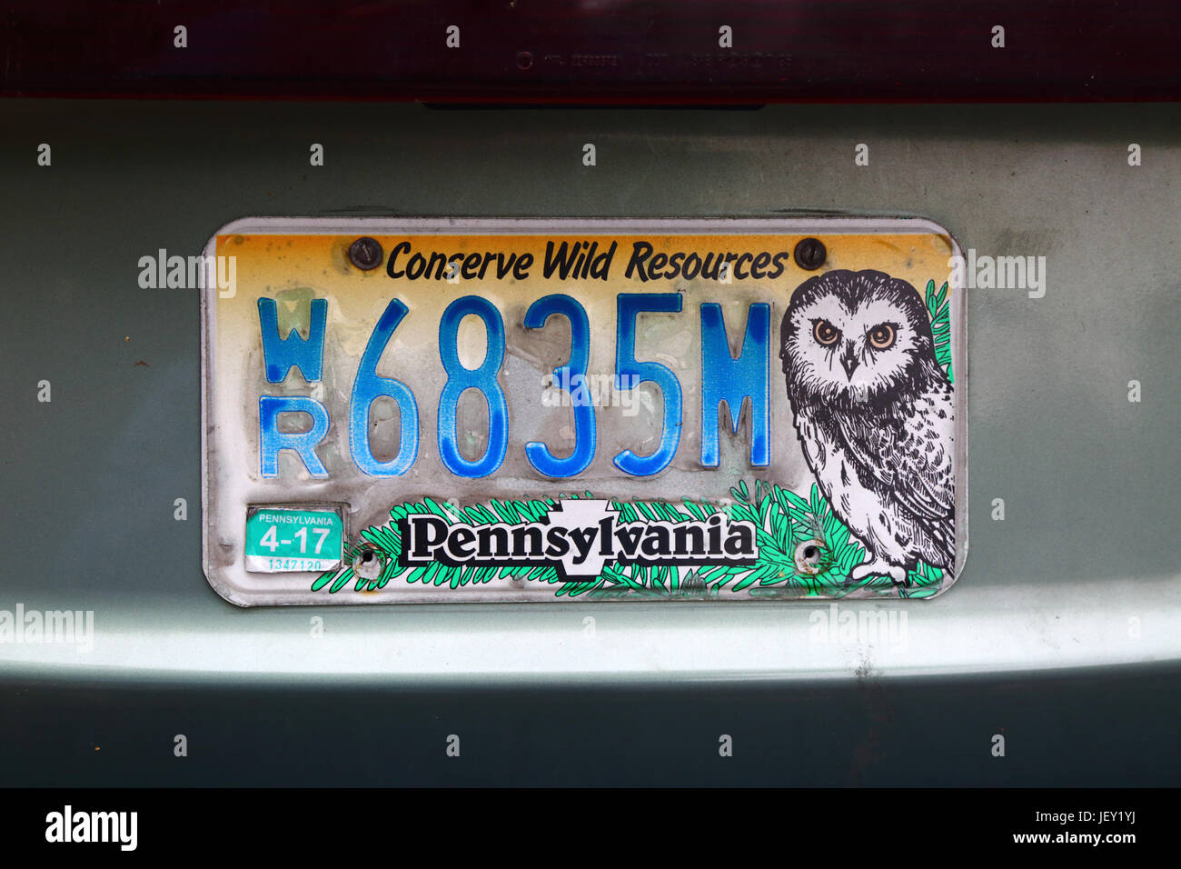 Decorated Pennsylvania state car license plate encouraging people to conserve wild resources, USA Stock Photo