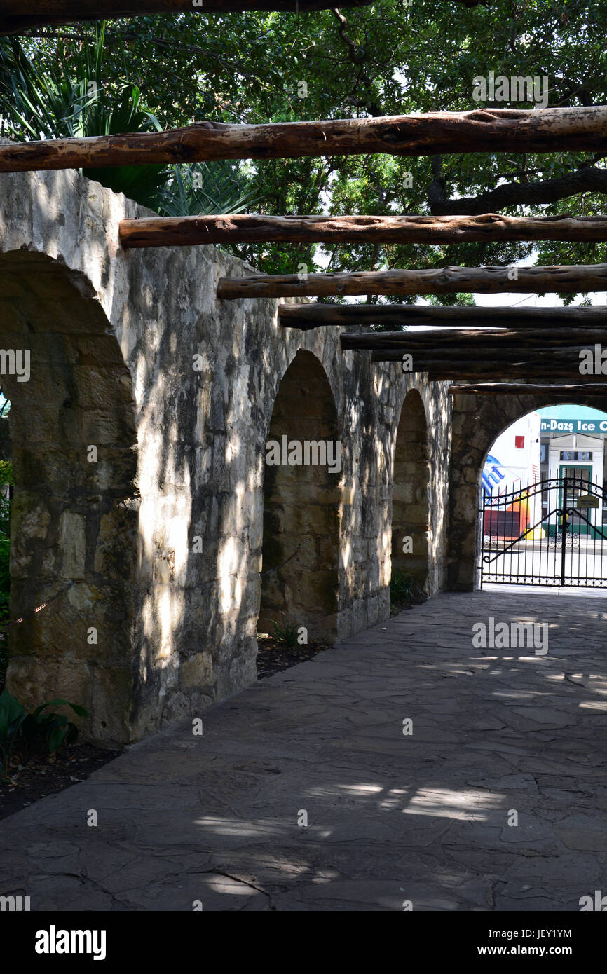 Live Oak trees shade the entry courtyard to the Alamo in San Antonio