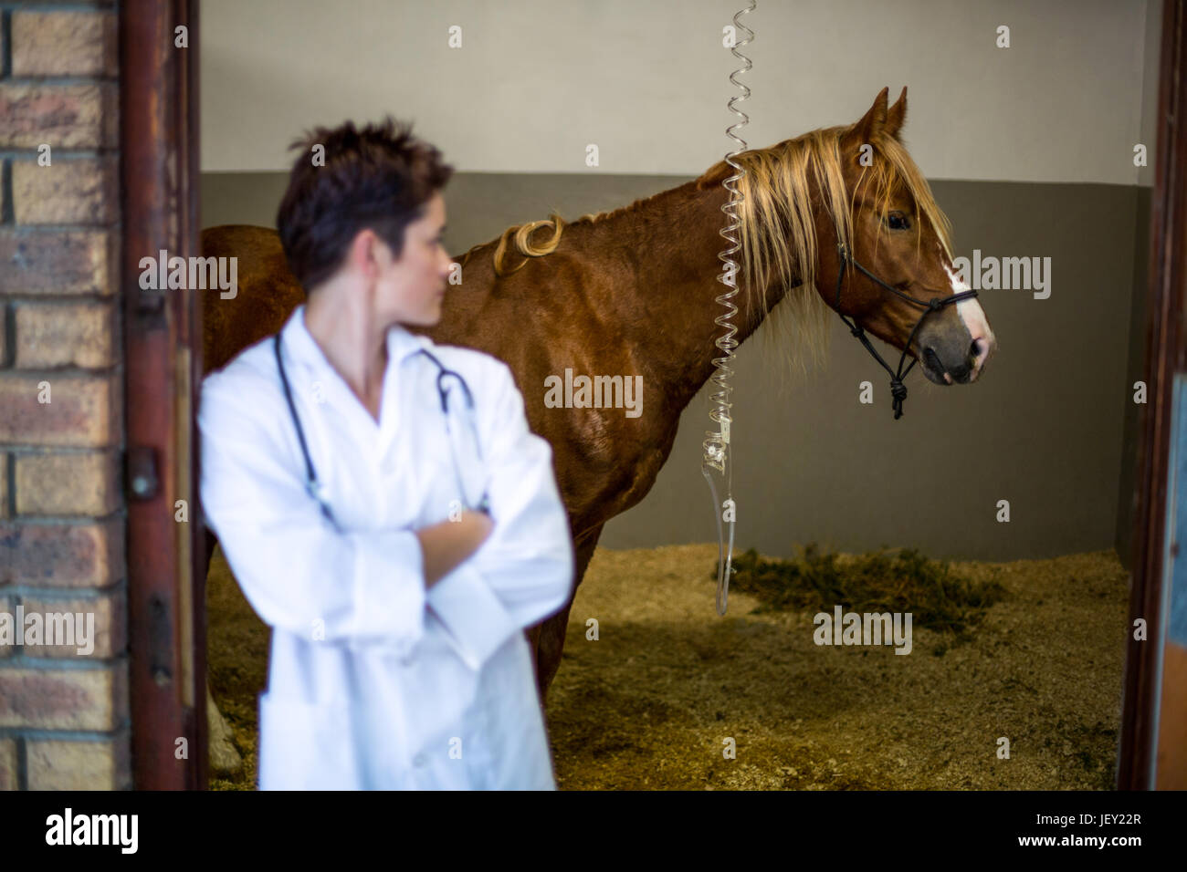 portrait-of-woman-vet-looking-a-sick-horse-stock-photo-alamy