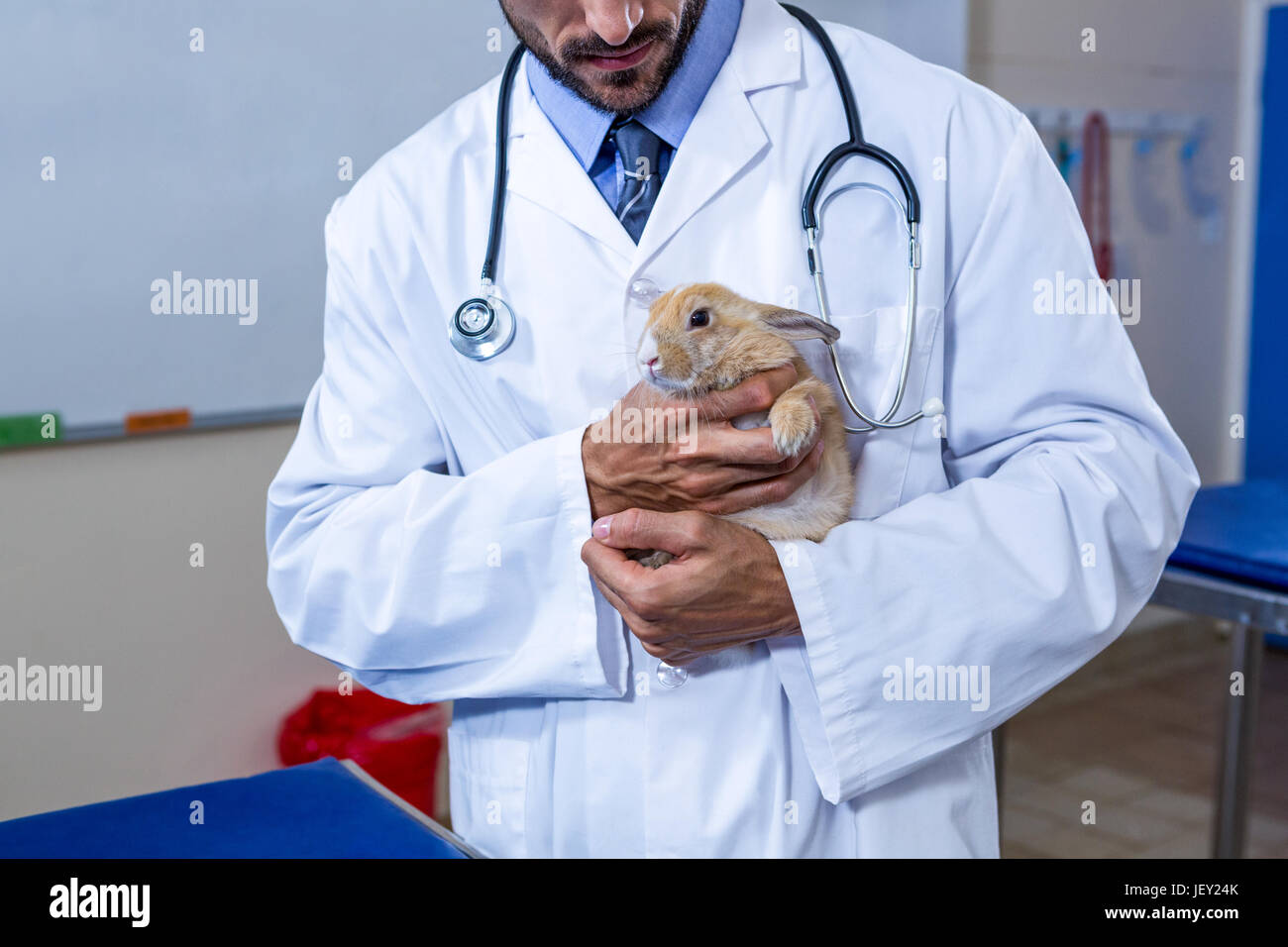 A vet man holding a rabbit Stock Photo - Alamy